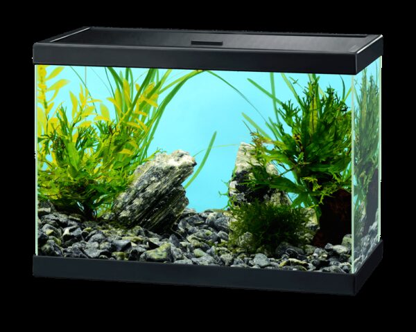 Aquarium Aqua15C Ciano