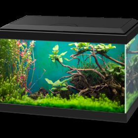 Aquarium Aqua20C Ciano