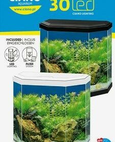 Aquarium Aqua30 Ciano